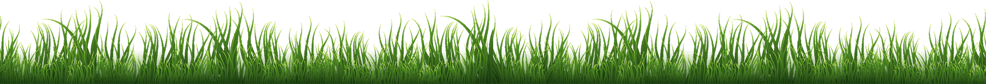 Full Width Image