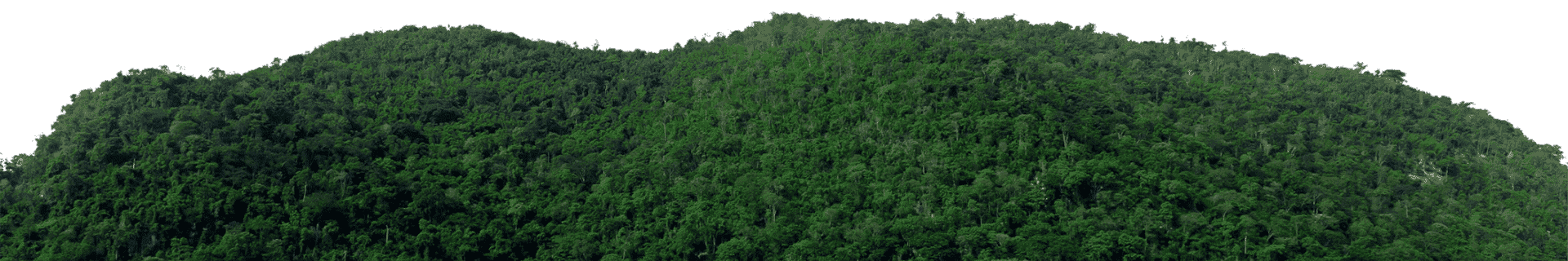 Nature landscape