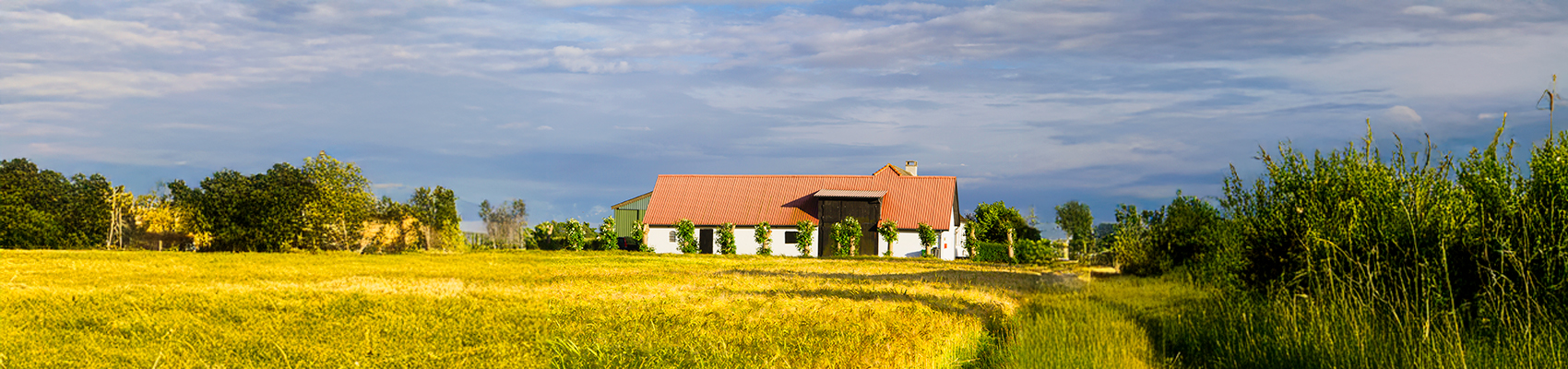 Happy residents participating in Avya Privilege referral program