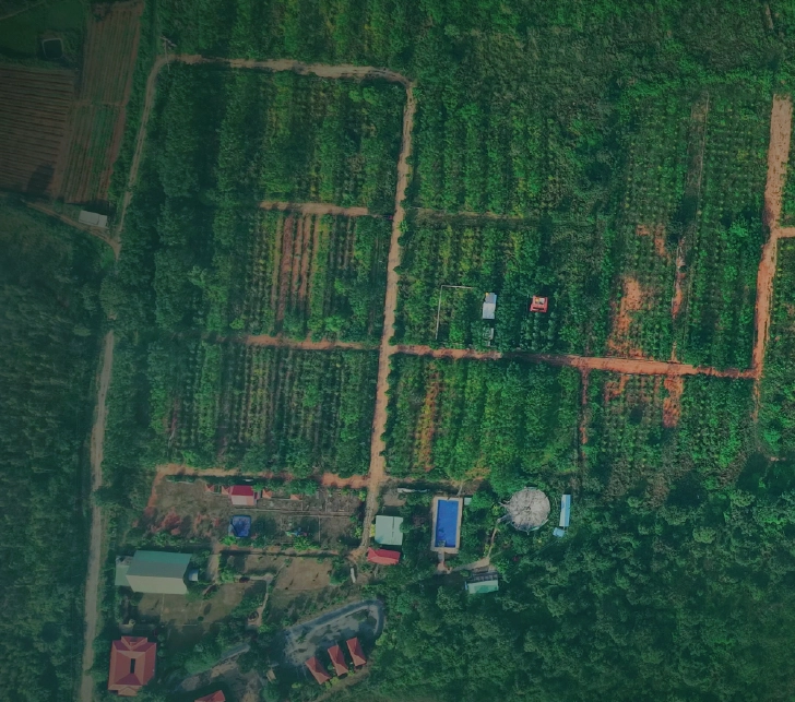 Avya Farms Aerial View